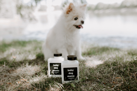 Dog in front of Baby Dog Mama Dog Shampoo